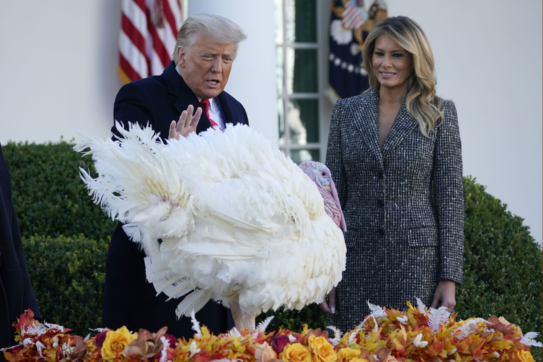 Trump turkey pardon, 2020